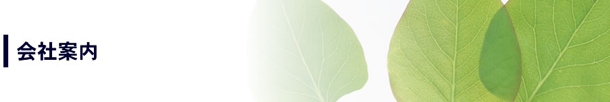 会社案内