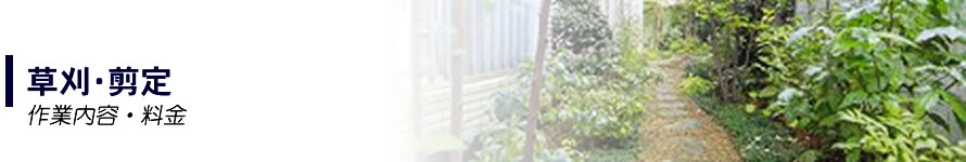 草刈・剪定
